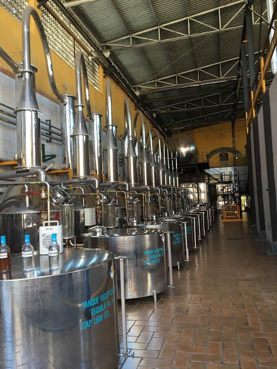 Fabrica de Tequila Herradura Proceso de destilación en Alambiques