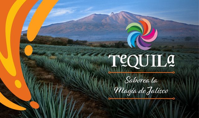 Guadalajara Tequila Paisaje Agavero campos 