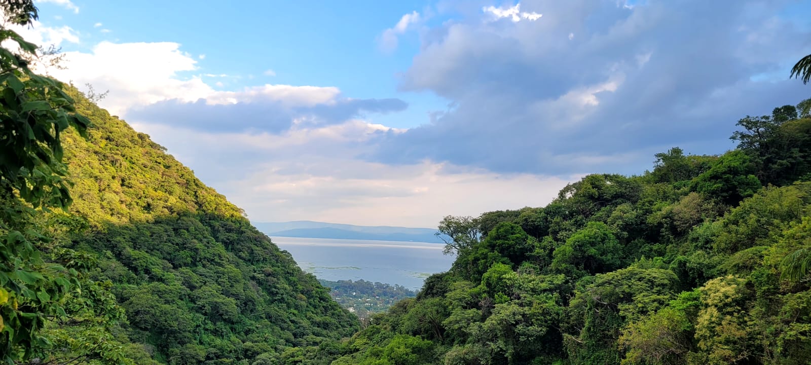 Tour privado Ajijic Hiking
